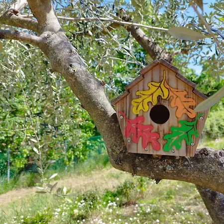 Campsite Rifugio Di Juliette E Lulu Verucchio