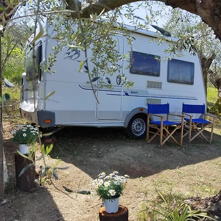 Rifugio Di Juliette E Lulu 韦鲁基奥