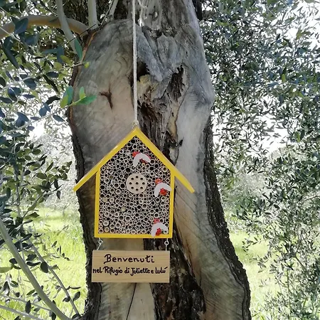 Rifugio Di Juliette E Lulu 营地 *